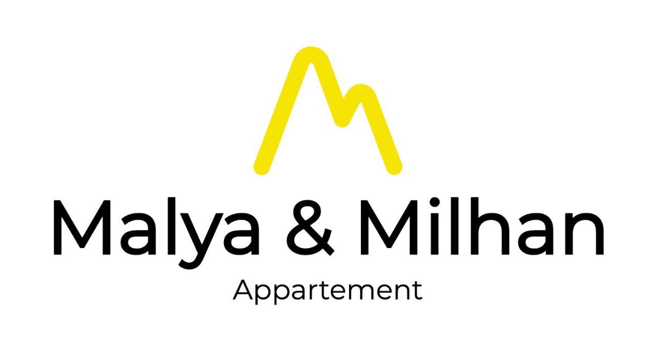 Appartement Malya & Parking Prive Grenoble Dış mekan fotoğraf